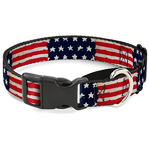 Buckle-Down "Stars & Stripes Painting Martingale Dog Collar, 1" Wide-Fits 15-26…