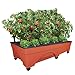 EMSCO Group Big City Picker Raised Bed Grow Box – Self Watering and Improved Aeration – Mobile Unit with Casters – Extra Large 48” x 20” Design