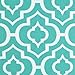 DII Cleaning Collection Multi-Purpose Microfiber, Teal Lattice, Dishtowel Set