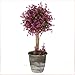 VGIA Artificial Potted Plants Retro Plastic Flowers Home Decoration Purple 12 Inch