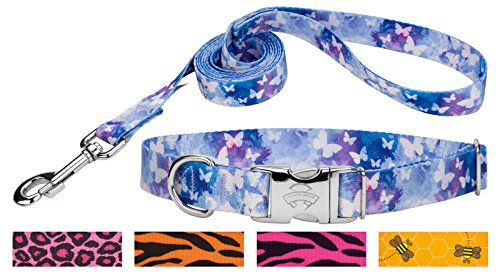 Country Brook Petz | Watercolor Butterflies Premium Dog Collar & Leash - Small