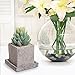 Small Decorative Gray Cement Textured Square Succulent Plant Pot with Water Draining Dish - MyGift
