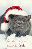 Christmas card address book: An address book and tracker for the Christmas cards you send and receive - Christmas cat cover (Christmas notebooks) by 