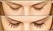 Eyelash Eyebrow Growth Enhancer Serum - 100% Natural and Safe - for Long Luscious Natural Eye Lashes and Brows Boost - Irritation Free - 3ml - By Lashé