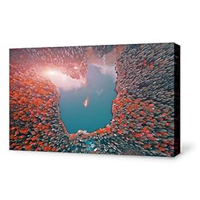 Canvas Wall Art Lake in Forest Land View from Sky Painting Artwork for Home Prints Framed - 12x18 inches