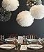 HEARTFEEL 8pcs Grey Color Tissue Paper Pom Poms Flower Balls Paper Craft Paper Flower Hanging Pom Wedding Party Outdoor Decoration Wedding Nursery Decorations Bridal Shower Party Room Decor