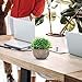 ODOM Small Fake Plants Bathroom Decor, 2 Pcs Mini Artificial Plants in Pots Indoor, Faux Potted Plants Plastic Greenery for Farmhouse Home Shelf Living Room Office Desk Bedroom Table Decorations