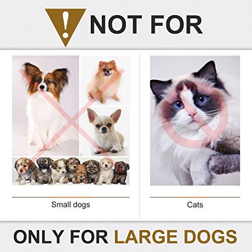 Plastic Slow Feeder Bowl Slow Down Eating Bowl Hold Dry or Wet Food for Large Dogs Anti-gulp Reduce Slip Petal-shaped Bowl Dog Bowl Slow Eating Stop Bloat for Fast Eater 2 Pack Fun Feeder,Black+Blue