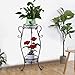 Luonita Plant Stand Indoor/Outdoor 2-Tier Metal Flower Stand Floor Model Potted Plant Display Stand Rack Shelf Rustproof Iron Garden Container Plant Holder Shipping from CA.，NJ. (Black)thumb 3