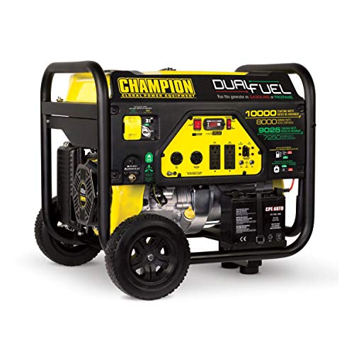 Champion 8000-Watt Dual Fuel Portable Generator with Electric Start