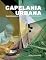 Livro Capelania Urbana: Transformação Social Através da Fé e da Solidariedade