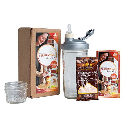 reCAP Mason Jars Fermentation Starter Kit: Waterless Airlock, Himalayan Pink Salt, Weight, 24 oz. Mason jar, reCAP Mason jar lid, Instructions & Recipes