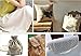 LOVOUS Nature Linen Needlework Fabric, Plain Solid Colour Linen Cloth Hemp Jute Fabric Table Cloth Garments Crafts Accessories, 20 by 62-Inch (Color 2)