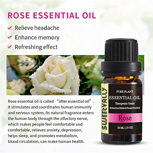 Rose Essential oils, 100 Pure Therapeutic Grade essential Oil 10ml