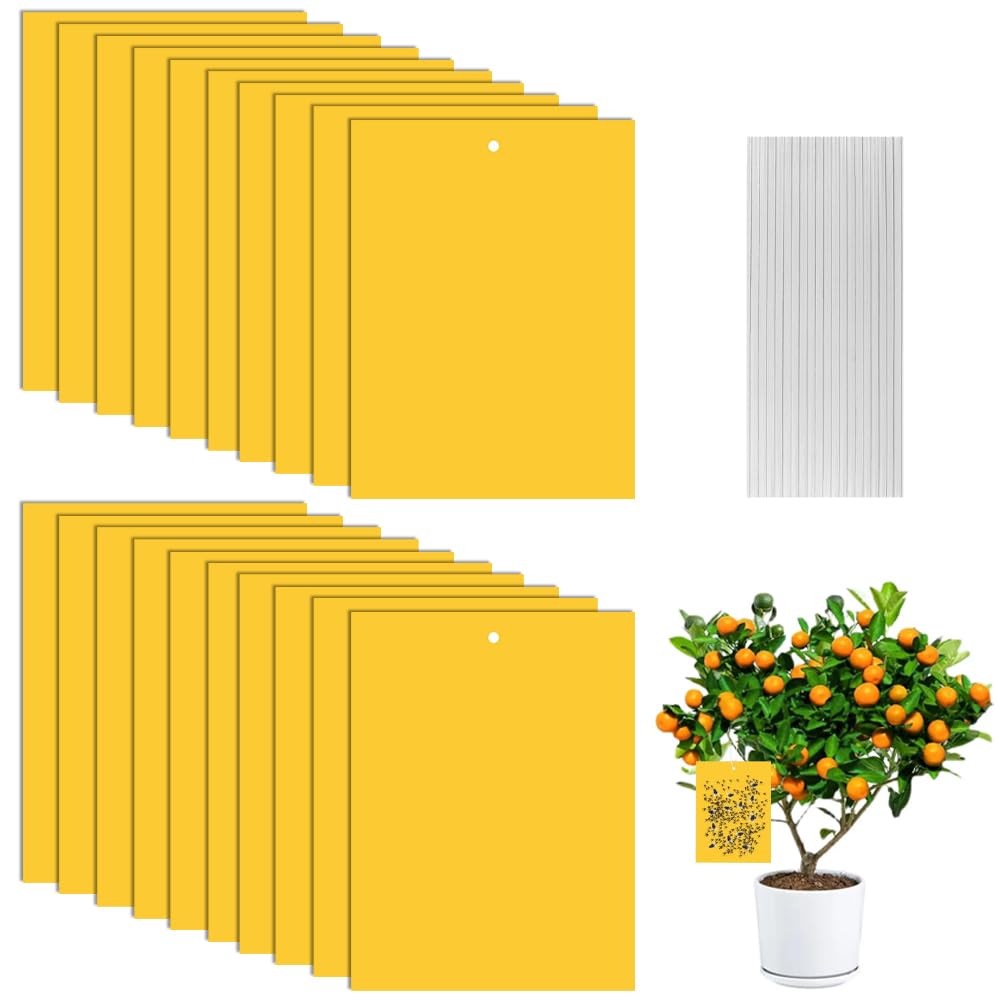20Pcs Fruit Fly Traps, Dual-sided Fly Trap Sticky Yellow Plant Fly Catcher Sticky Fungus Gnat Killer Traps Stickers for Mosquitos, Flying Aphid Whiteflies Fruit Flies Fungus Gnat