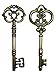 Salome Idea 20PCS Assorted Large Vintage Skeleton Keys (2 Styles) - 3 1/4