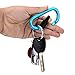 5PCS Assorted Colors Aluminum Carabiner Clip D Shape Spring Buckle Keychain for Home,Camping,Hiking and Traveling
