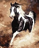 LB DIY Oil Painting for Adults Kids Paint By Number Kit Digital Oil Painting Horse 16X20 Inches