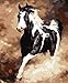 LB DIY Oil Painting for Adults Kids Paint By Number Kit Digital Oil Painting Horse 16X20 Inches