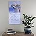 Poodles 2018 16 Month Wall Calendar 12 x 12 inches Bright Day Calendars Publishing