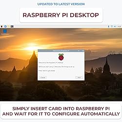 STEADYGAMER - 32GB Raspberry Pi Preloaded