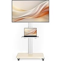 Universal Mobile TV Stand with Wheels – Heavy-Duty Double Tier Rolling Cart for 27 to 65 Inch TVs (LCD/LED/OLED), Supports 88