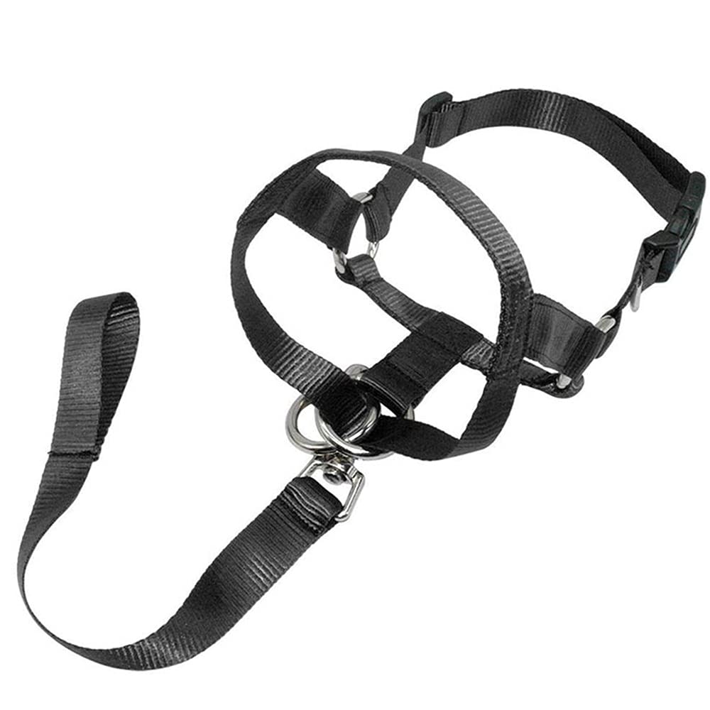 Barkless Dog Head Collar, Adjustable Black Nylon No Pull Head Halter for Dogs, Stop Pulling and Choking on Walks - M
