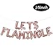 Lets Flamingle Balloons Banner | Lets Flamingle Party Supplies | Hawaii Party, Flamingo Theme Party, Pink Party, Summer Party Decorations (Rose Gold)