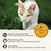 Wellness CORE+ Adult Dry Cat Food for Indoor Cats, Grain Free, Natural, Chicken, Turkey & Chicken Meal (11 Pound Bag)