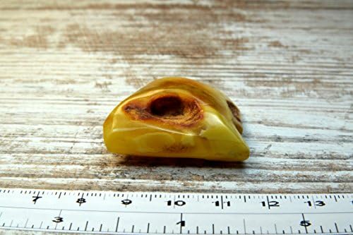 8.3 g Natural POLISHED Genuine Baltic Amber Stone Great for Making Brooch, Necklace, Pendant or Just Having It BBS254
