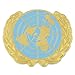PinMart's United Nations UN World Peace Enamel Lapel Pin