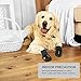 Petacc Dog Boots Water Resistant Dog Shoes for Large Dogs and Black Labrador 4 Pcs in Size 8 Black