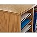 Safco Wood Adjustable Literature Organizer, 16 Compartment with Adjustable Shelves, CDs Storage, and Durable Laminate Finish, for Home Office, Classroom, and Craft Room