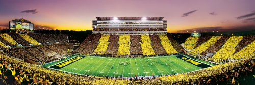 MasterPieces NCAA Iowa Hawkeyes Stadium Panoramic Jigsaw Puzzle, 1000-Piece