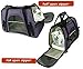 Mr. Peanut's Airline Approved Soft Sided Pet Carrier by, Two-Tone Luxury Travel Tote with Fleece Bedding, New Design, Under Seat Compatibility, Perfect for Cats and Small Dogs (Raspberry Red)