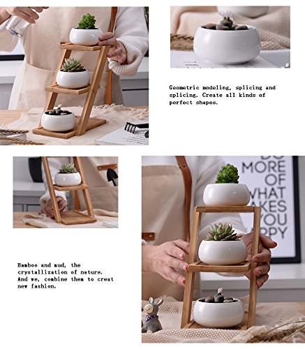 Youfui White Ceramic Succulent Plant Pot, Planter for Succulent Plants, Small Cactus and Herbs with Bamboo Tray (Round White with Stand)