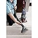 Hoover Power Scrub Deluxe Lightweight Deep Pet Carpet Washer Scrubber Cleaner