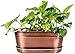 H Potter Herb Succulent Small Planter Antique Copper Finish Brass Accents Indoor Outdoor Garden Pot Plant Box Holder with Tray for Succulents Flowers
