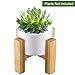 CUUCOR 3 Inch Modern White Round Ceramic Planter Pot with Bamboo Stand,Mid Century Small Indoor Plant Holder for Succulent Plants/Air Plants/Artificial Flowers/Mini Cactus(Planter + Stand)
