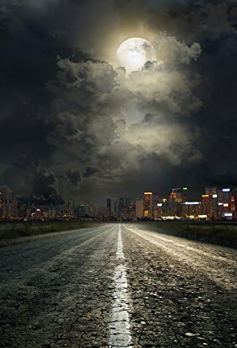4X6ft Art Fabric Photography Moon Night Road Backdrop D1518