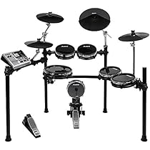 Alesis DM10 Studio Kit | Ten-Piece Professional Electronic Drum Set with Black Aluminum StageRack (Mylar Drum Pads)
