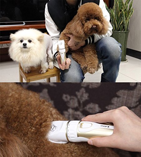Otstar Dog Clippers,Low Noise Rechargeable Cordless Pet Dog and Cat Grooming Clippers Kit Set Tools with 2 Batteries,P3(White and Gold)
