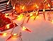 Chili String Lights,40 LEDs 20ft Battery Operated String Lights for Home,Gardens,Park,Patios Decoration,Party,Wedding,Xmas,Chinese New Year,Spring Festival.