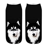 vermers Socks Under 5 Dollars - Popular Funny