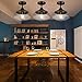 Oak Leaf Pendant Lighting, Vintage Industrial Glass Pendant Light Shade Lampshade Chandelier