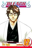 Bleach, Vol. 12