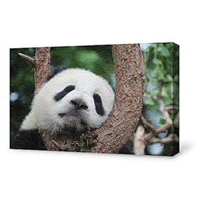 Canvas Wall Art for Living Room,Bedroom Home Artwork Paintings Cute Panda Ready to Hang - 12x18 inches