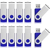 Aiibe 2GB Flash Drive USB Flash Drive Thumb Drives 2G USB 2.0 Memory Stick Wholesale/Lot/Bulk (2GB, 10 Pack, Blue)
