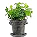 Window Garden Rustic Charm 6” Planter - Fine Home Décor Ceramic Indoor Decorative Pot. for or Herbs, Flowers, Succulents. Beautifully Packaged, Great Gift for Mom, Office, Holiday.