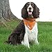 Insect Shield Repellant Dog Bandana for Protecting Dogs from Fleas, Ticks, and Mosquitoes, Dogs & Bones, Orange, 1 Count (Pack of 1) (IE9412 69), 19 by 19-Inch